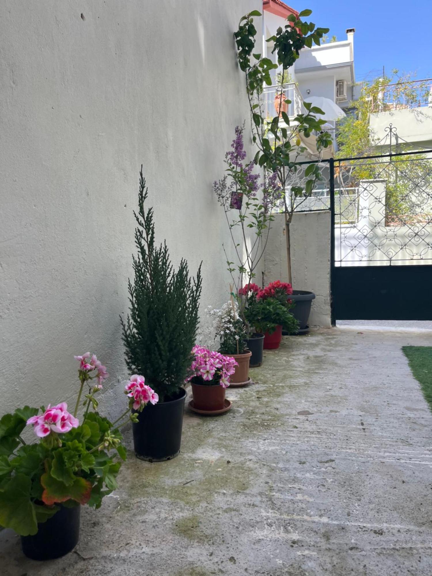 Noa - Designed Garden Studio In The City Center Kalamata Ngoại thất bức ảnh